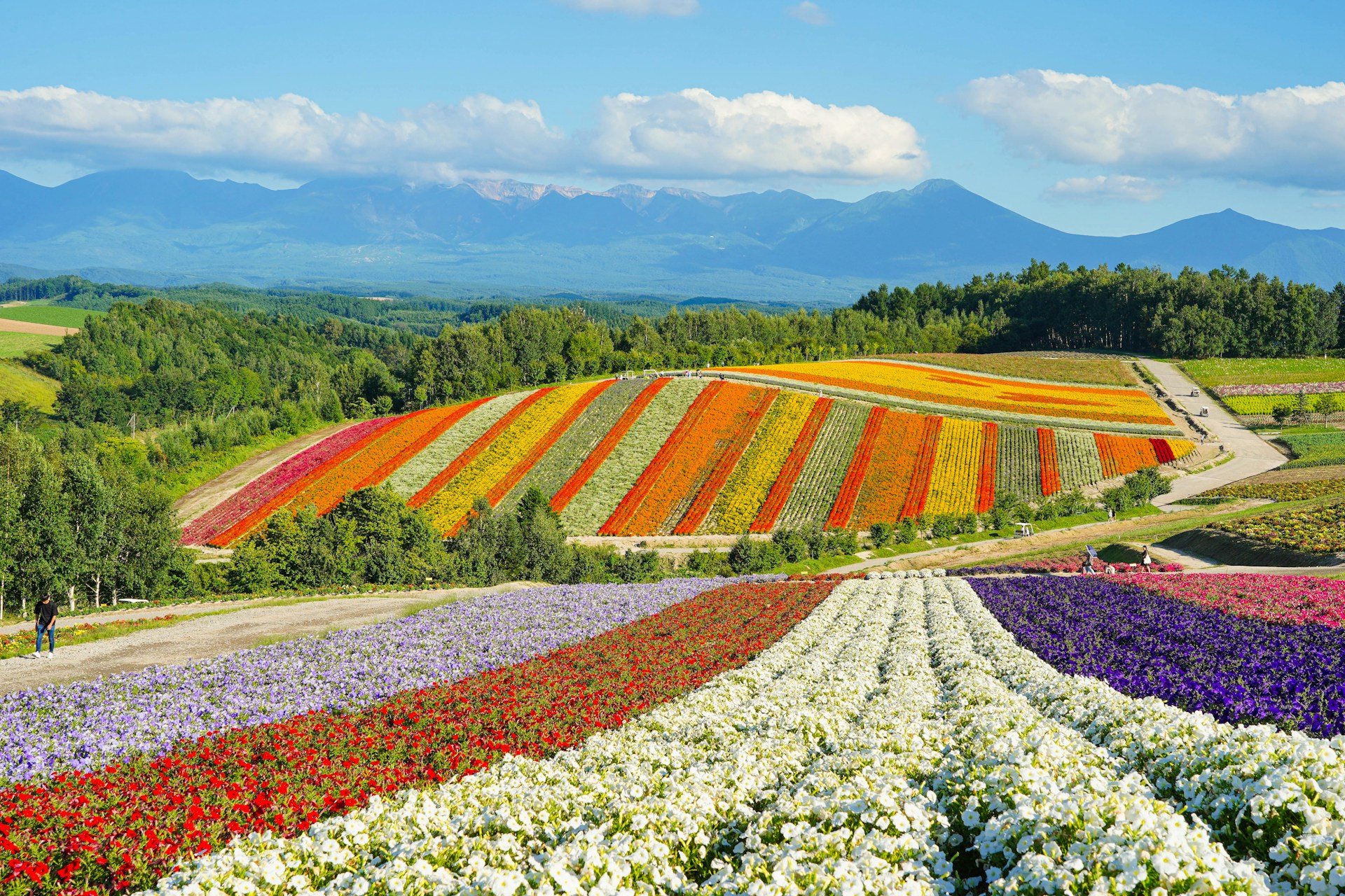 Hokkaido 6D4N