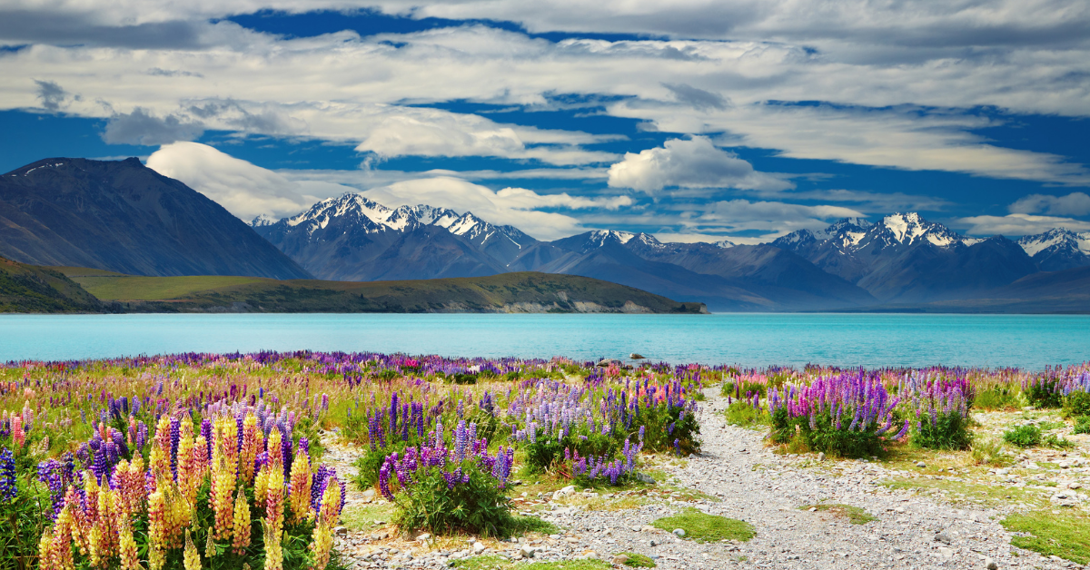 New Zealand 10D7N