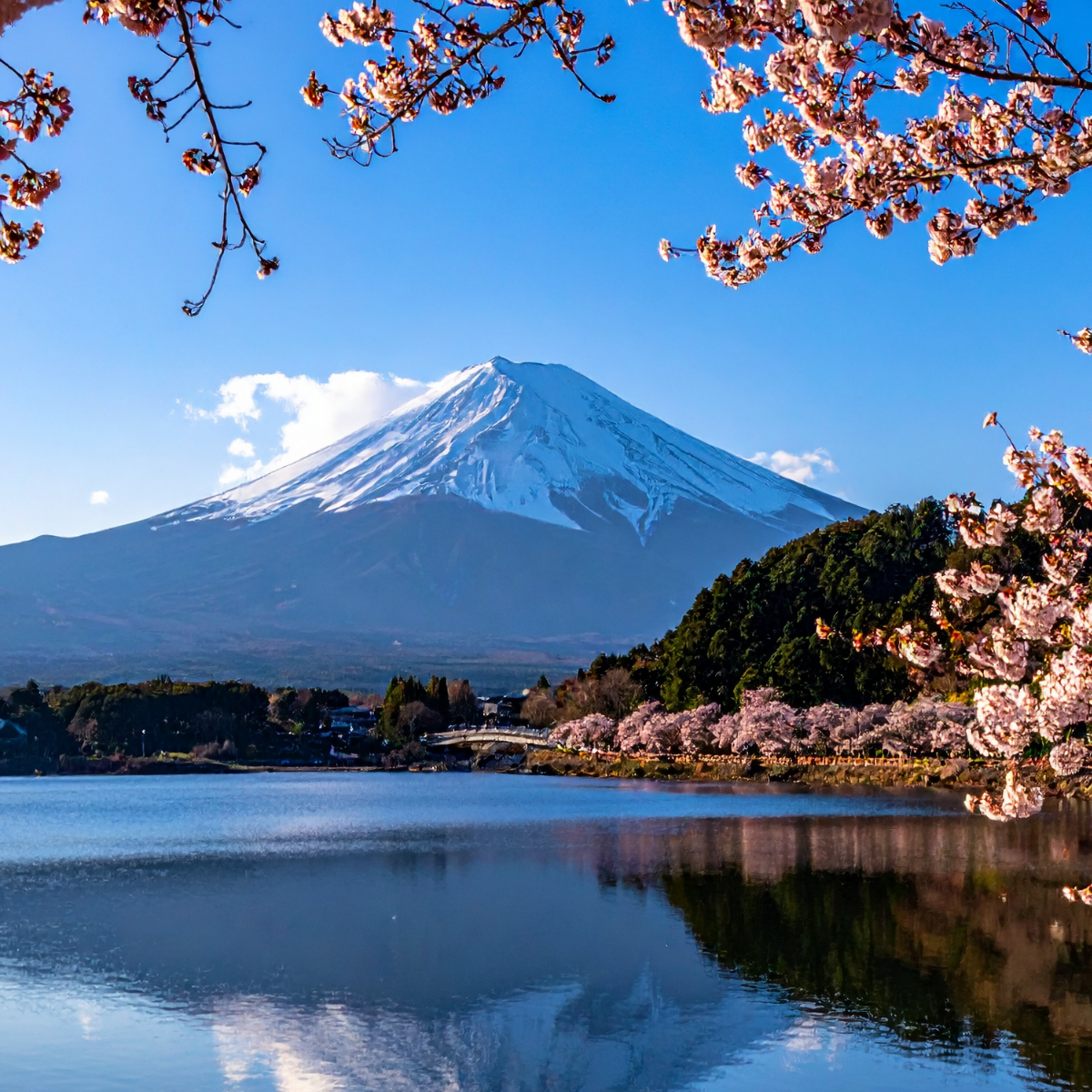 Tokyo & Fuji 6D4N