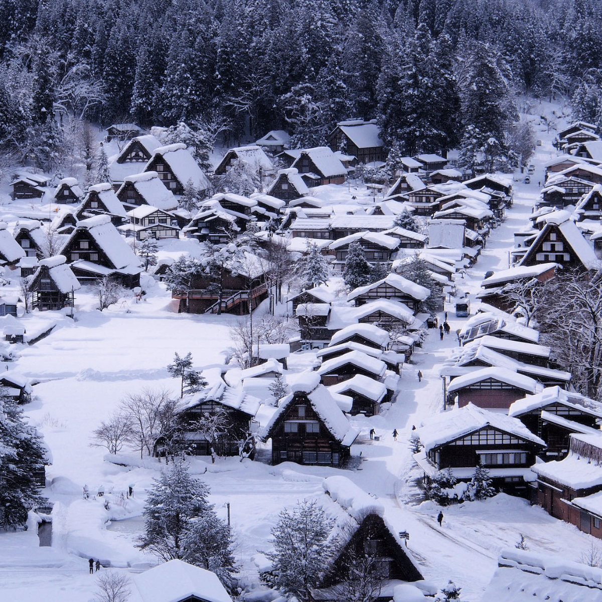 Osaka & Shirakawago 7D5N