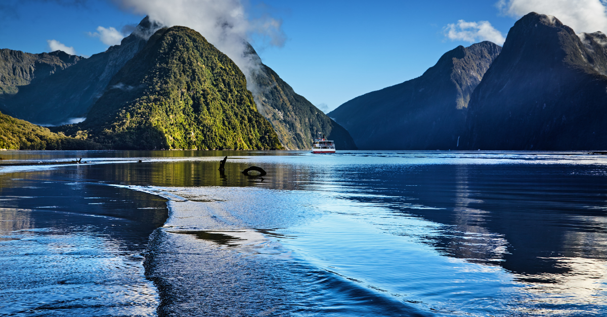 New Zealand 11D8N